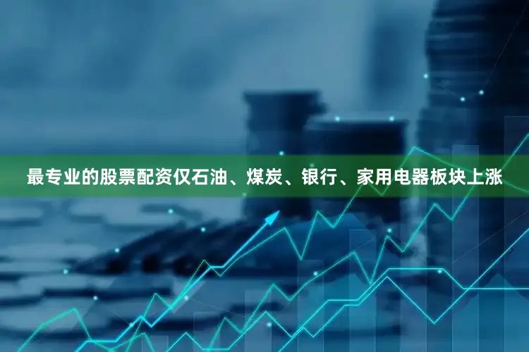 最专业的股票配资仅石油、煤炭、银行、家用电器板块上涨