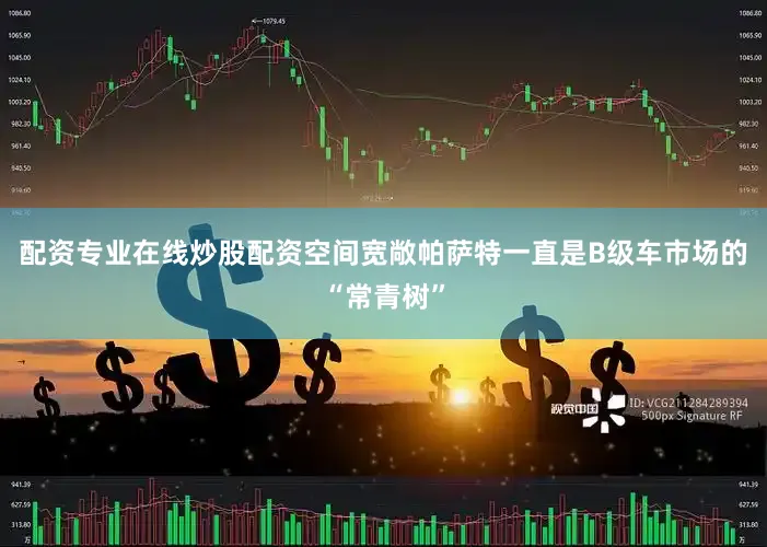 配资专业在线炒股配资空间宽敞帕萨特一直是B级车市场的“常青树”
